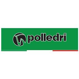 POLLEDRI