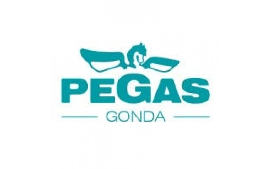PEGAS 360-QPARTS