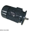 86.0380 | BEWO 315 VERVANGENDE MOTOR LT
