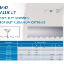 M42-426 | ALU Expert BANDZAAG 1010x20x0,9 - 4 TPI 
