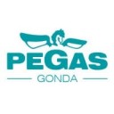 PEGAS 360-QPARTS
