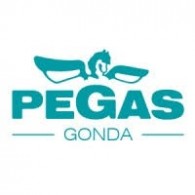 PEGAS 360-QPARTS